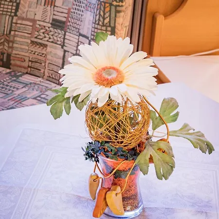 Life 6 By Alpenidyll * Schladming