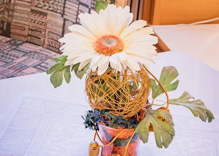 Life 6 By Alpenidyll * Schladming